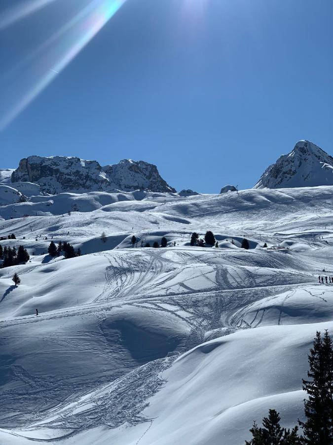 Bel Appartement Ski Aux Pieds Plagne Bellecote Ла-Плань Экстерьер фото