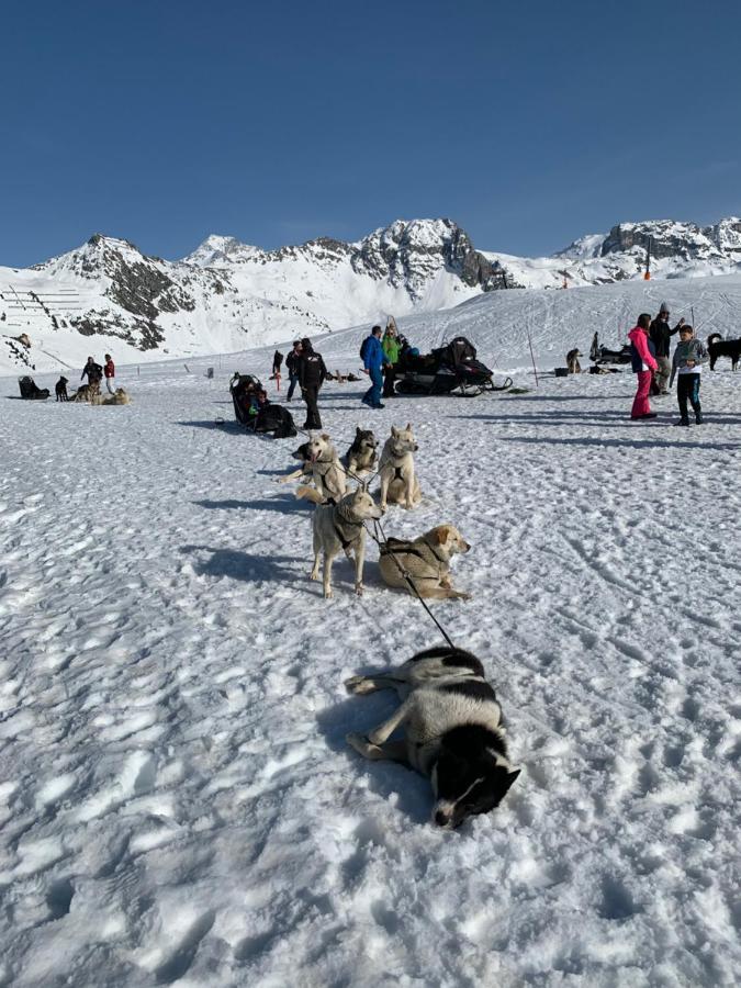 Bel Appartement Ski Aux Pieds Plagne Bellecote Ла-Плань Экстерьер фото