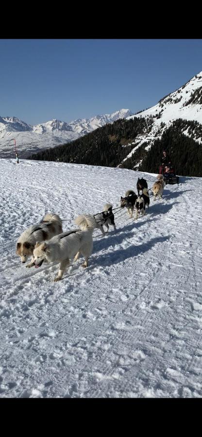 Bel Appartement Ski Aux Pieds Plagne Bellecote Ла-Плань Экстерьер фото